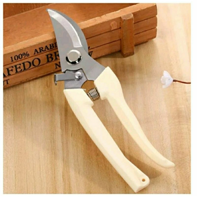 

GUNTING RAHAN RANTING BUNGA TANAMAN BERKEBUN PRUNING SHEARS