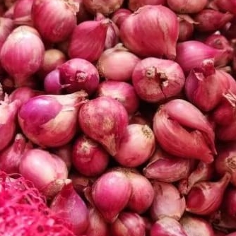 

Bawang merah Nganjuk