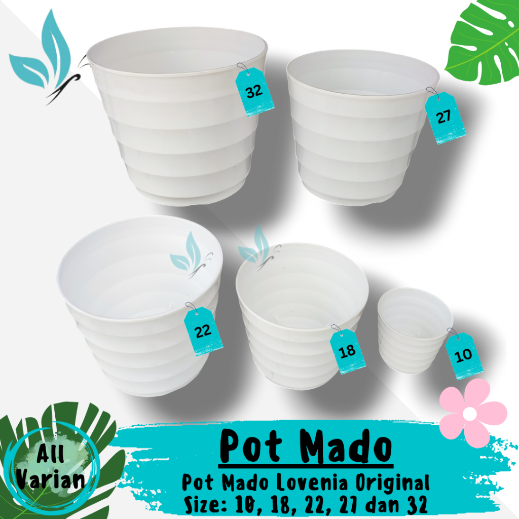 Pot Bunga Mado Lovenia Putih Uk 10 18 22 27 32 Tanaman Hias Aesthetic