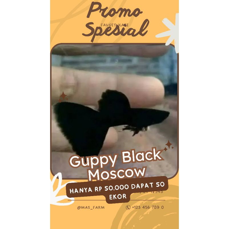 

PACKING KARDUS || BL4CK M0SC0W DUMBO E4R S£P4S4NG