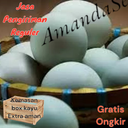 

TELOR bebek / telur bebek mentah langsung dari kandang gratis packing extra aman