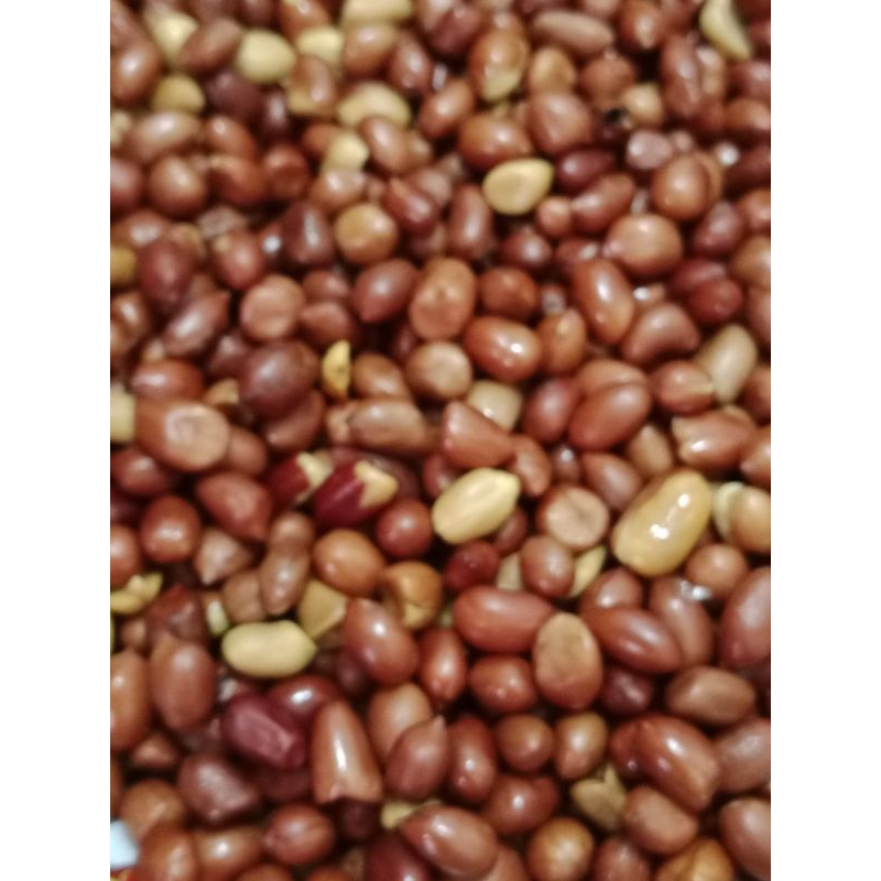 

kacang goren 1kg