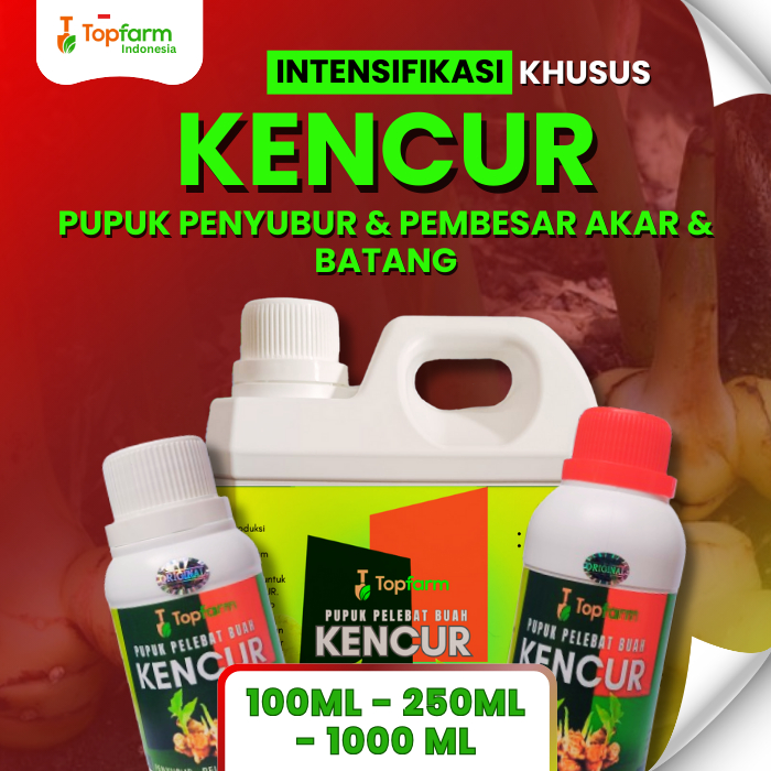 Pupuk Cair Khusus Tanaman Kencur / Pupuk Tanaman Kencur Terbaik / Pupuk Booster Akar Khusus Kencur
