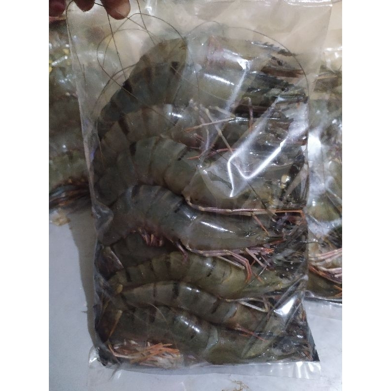 

Udang Windu Udang Tiger 500gr isi 16-18 ekor