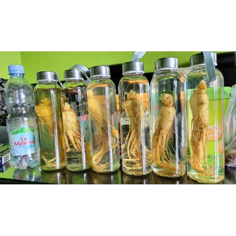 

Gingseng Korea botol kaca premium COD
