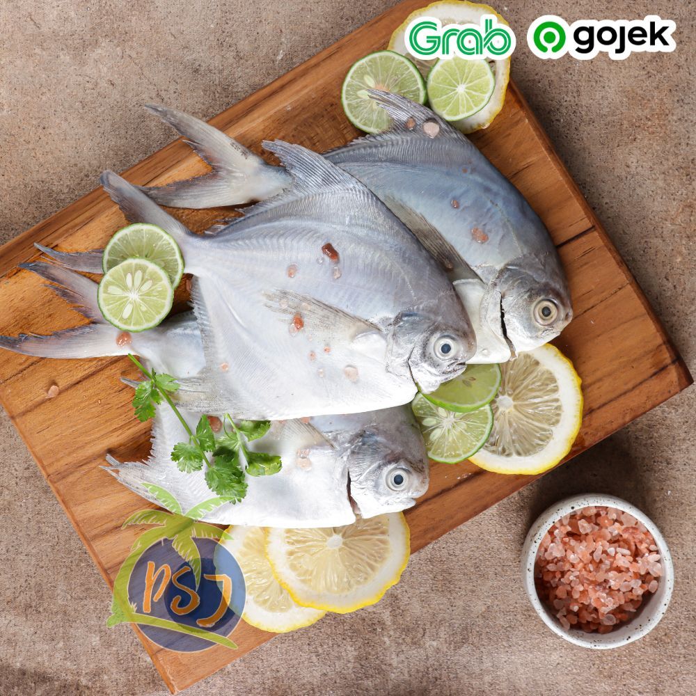 

IKAN BAWAL PUTIH SEGAR 500gram ISI 2-3 EKOR / WHITE POMFRET / BAWAL LAUT SEGAR