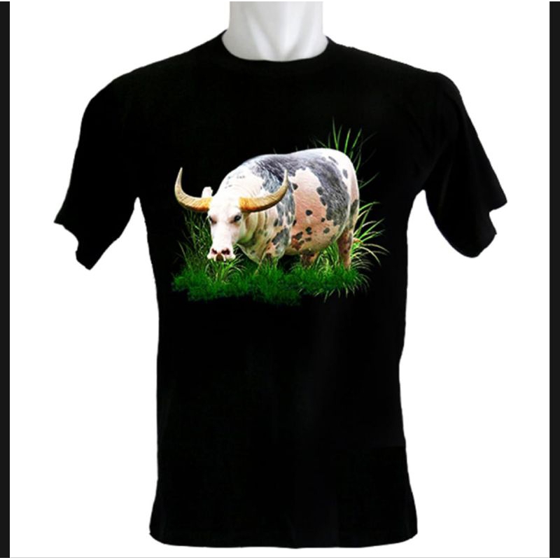 KAOS GAMBAR KERBAU BULE // PETERNAK KERBAU BULE