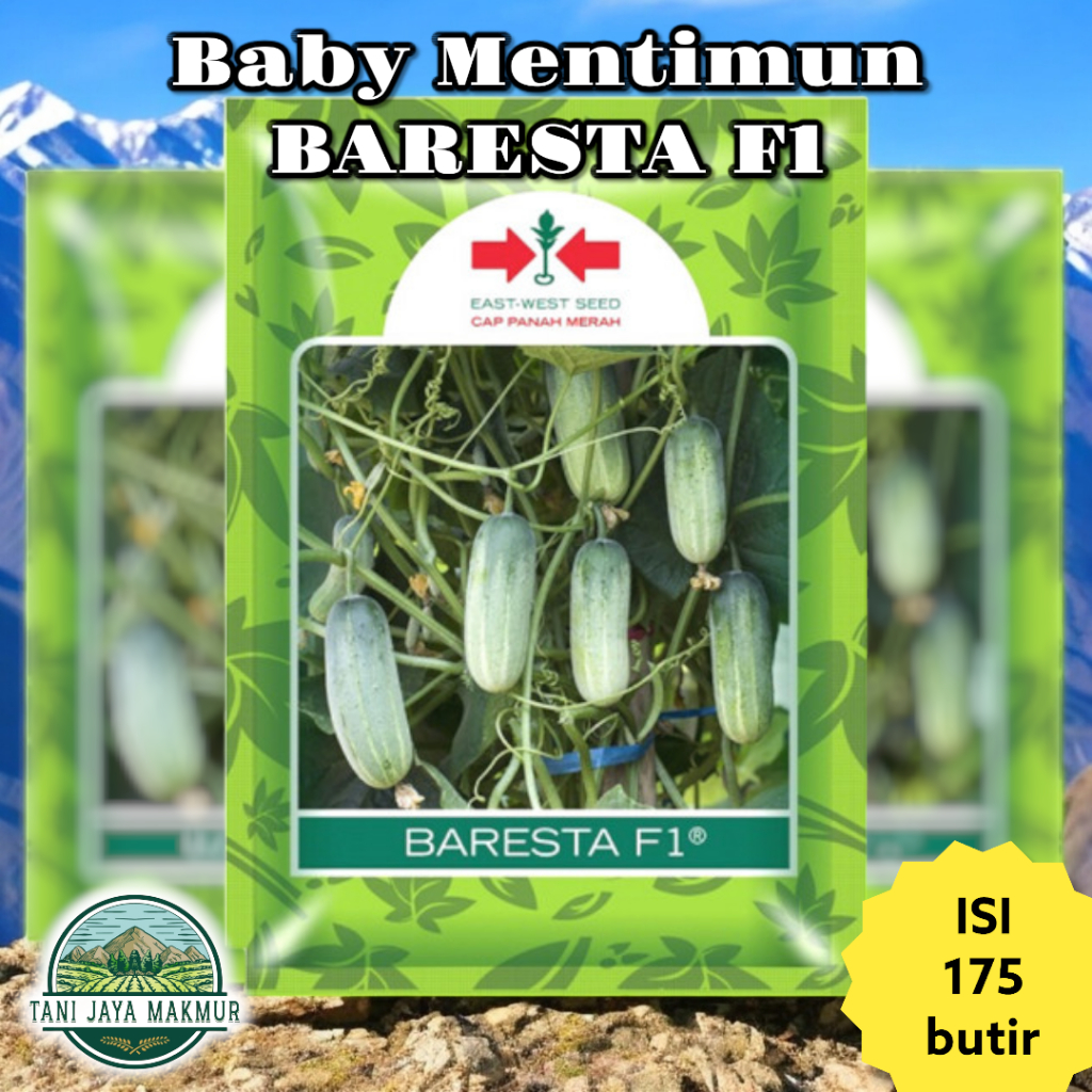 Benih Bibit Timun Mentimun Baby BARESTA F1 175 butir - Cap Panah Merah