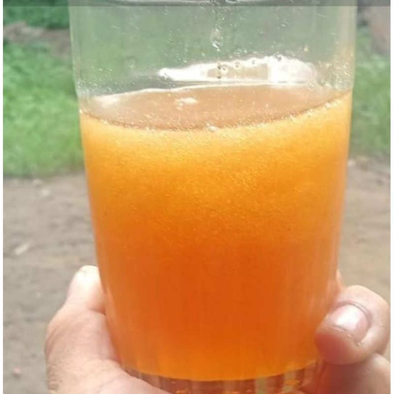 

Madu Hutan Murni