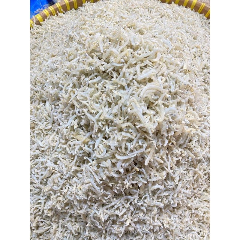 

teri nasi