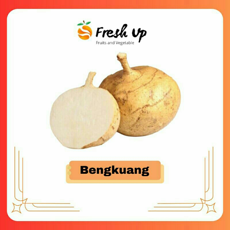 

Bengkuang Fresh 1 kg | FreshUp Official