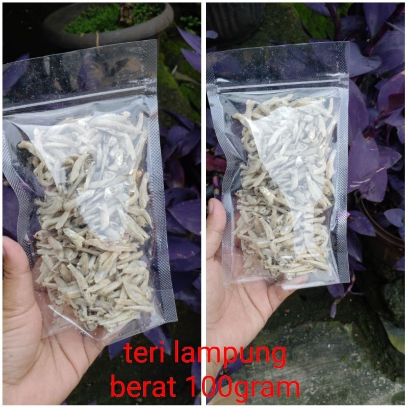 

ikan asin 25ribu 4 macam