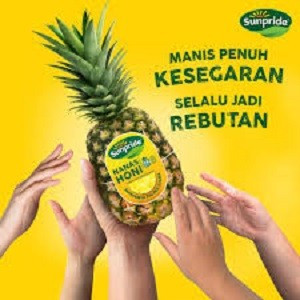 

TBI NANAS HONI SUNPRIDE GRADE A JUMBO NANAS MANIS NANAS NASTAR NANAS DIET NANAS NGIDAM