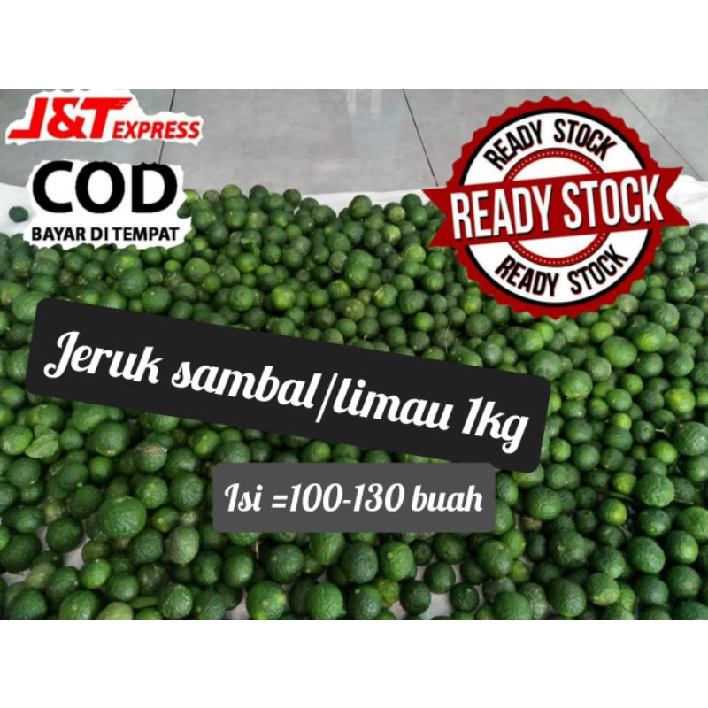 

jeruk sambel/jeruk limau/ Fress petik dari pohon