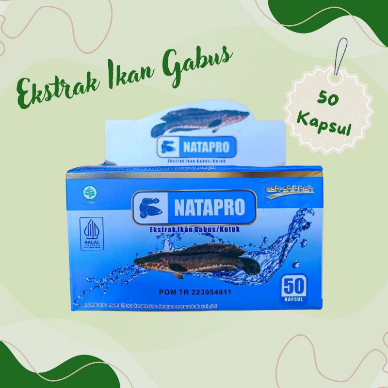 

NATAPRO EXTRAK IKAN GABUS 50 Kapsul