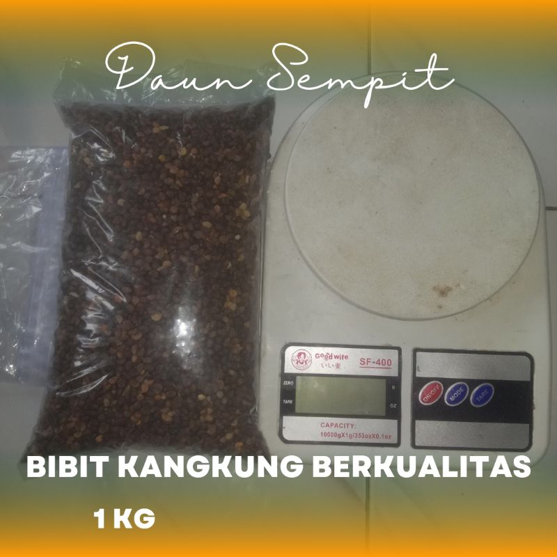 

1 KG BIBIT BENIH KANGKUNG SIAP TANAM