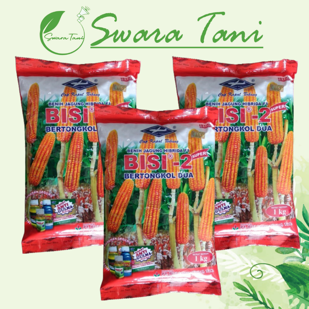 [Original] Bibit jagung Bisi - 2 1kg bertongkol 2 kapal terbang