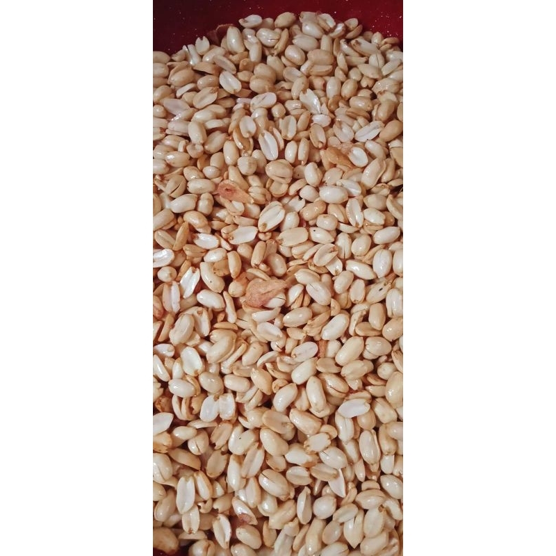 

KACANG BAWANG 500GR-1KG / KACANG BAWANG GURIH 500GR-1KG