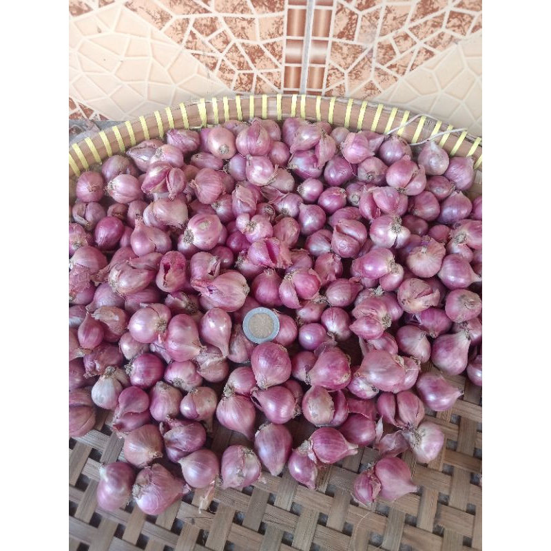 

bawang merah 500gr TANGGUNG BESAR sudah kering