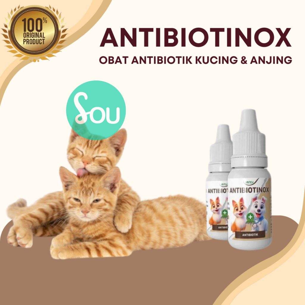 Antibiotinox Obat Antibiotik Venox Obat Mencegah Virus Jamur Bakteri Kucing Anjing Virus Infeksi Bak