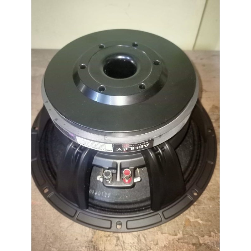 Speaker 12 inch speaker Ashley babet