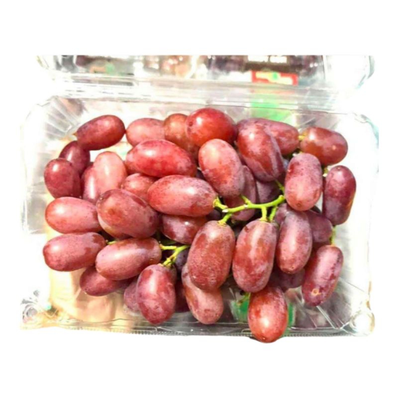 

crimson majs tanpa biji