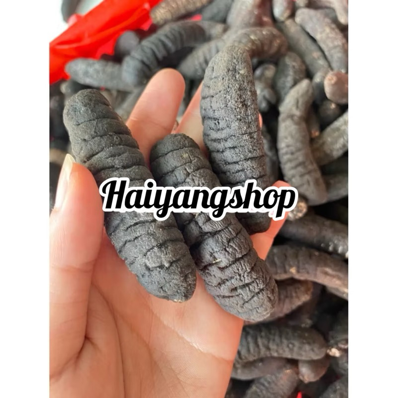 

HAISOM SUPER BANGKA BELITUNG KERING 100 GRAM ISI 3 EKOR BERKUALITAS TEBAL DAN KENYAL COCOK UNTUK RESTORAN MAUPU