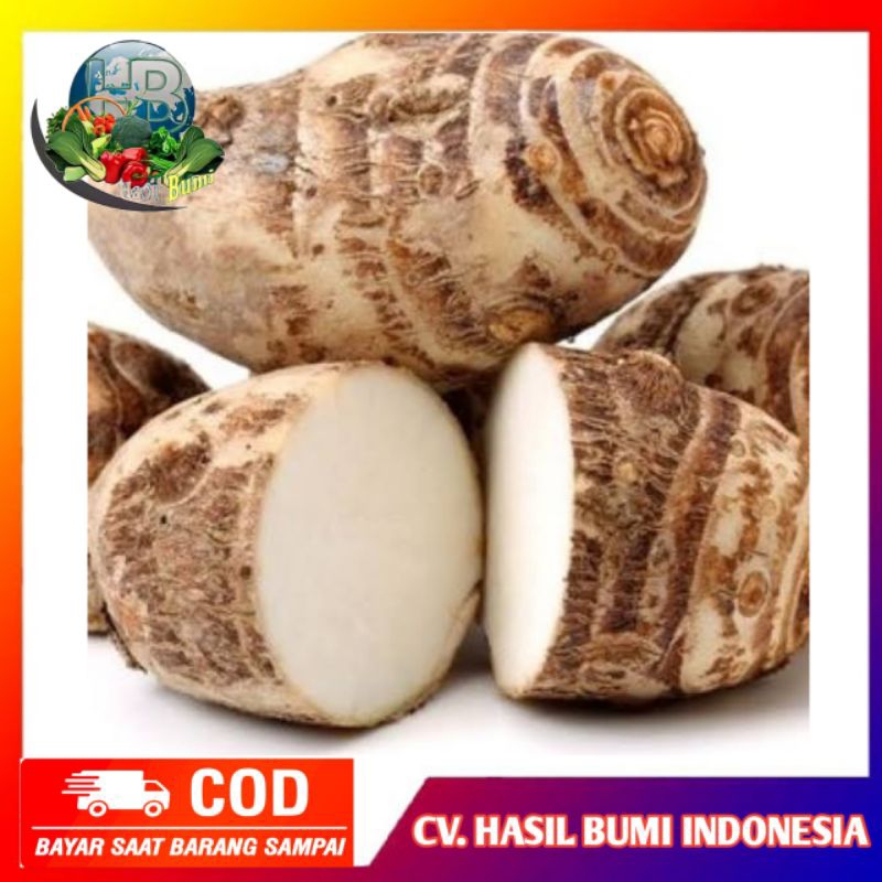 

umbi Talas busil 500gram empuk pulen