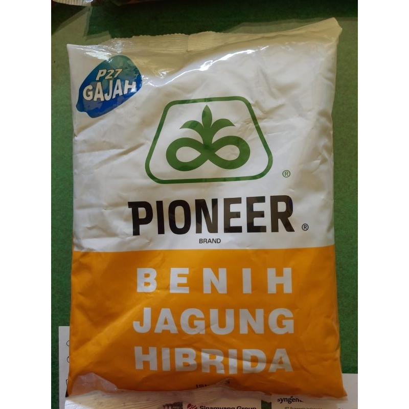 Benih bibit jagung pioneer P27 Gajah 1 kg