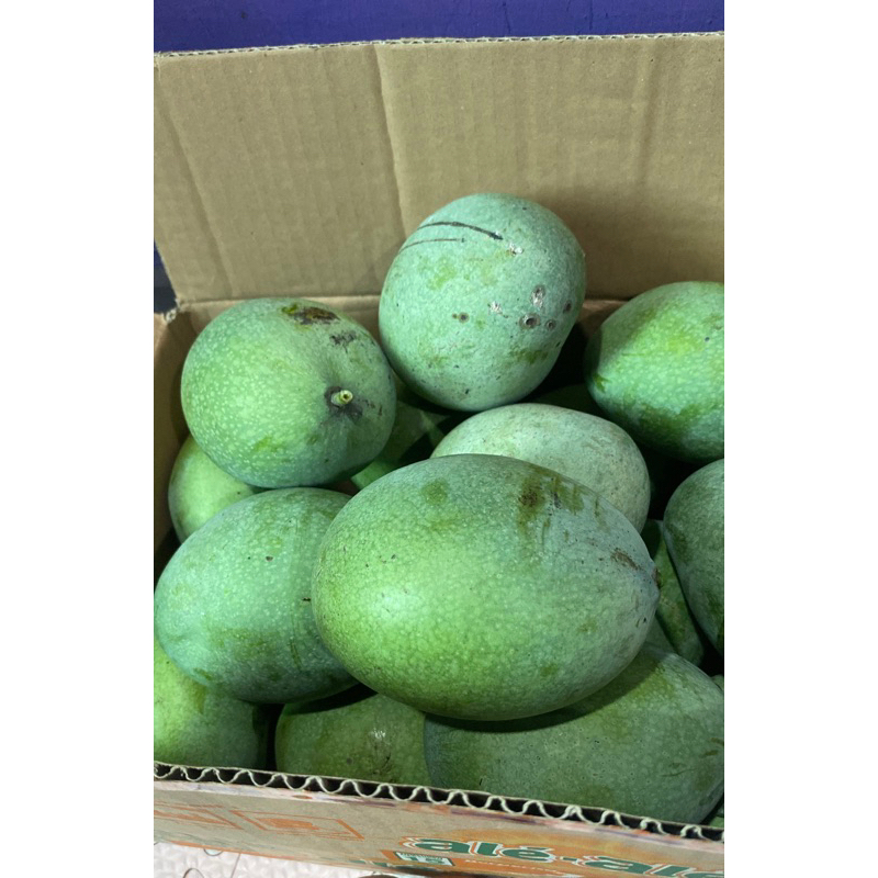 

Mangga Madu/Manalagi