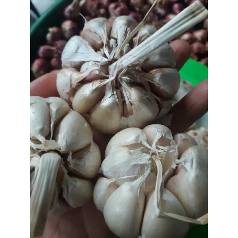 

Bawang putih 1kg