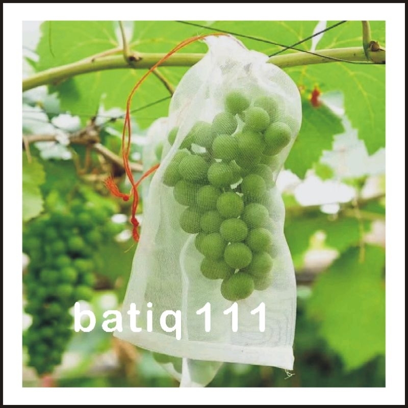 Jaring Buah , Fruit Cover , Kantong Pembungkus & Pelindung Buah , Brongsong