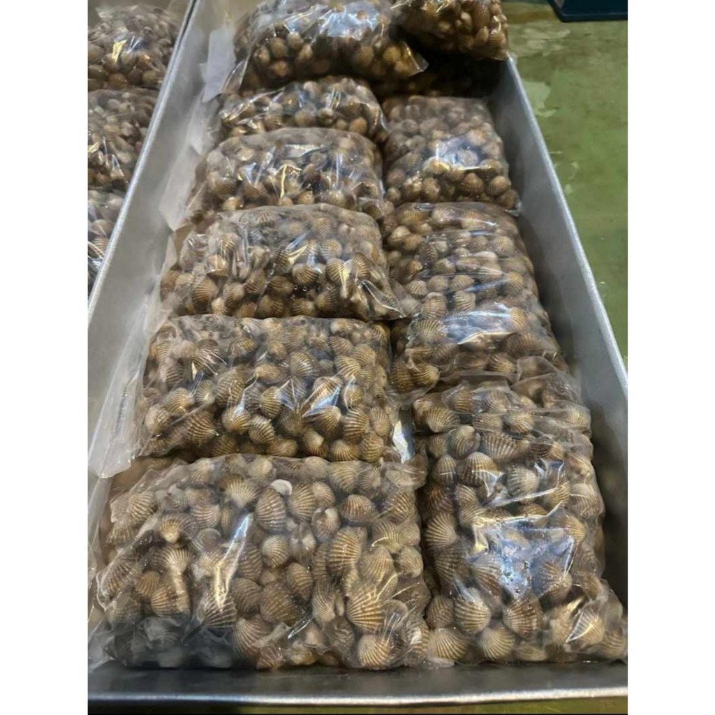 

Kerang Dara 1 kg