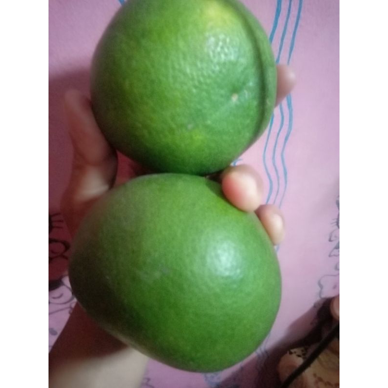 

buah jeruk Bali 1000grm
