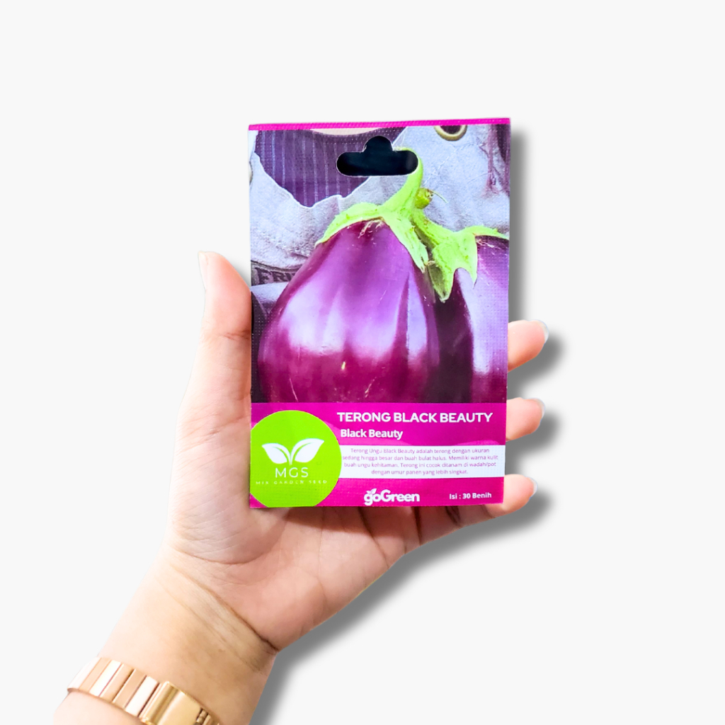 Benih Terong Ungu Black Beauty/Benih Terong Murah/Benih Sayur Terong
