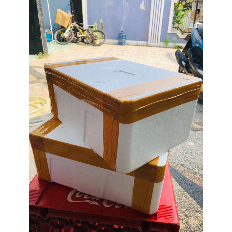 

Box Sterofoam untuk packing Lobster