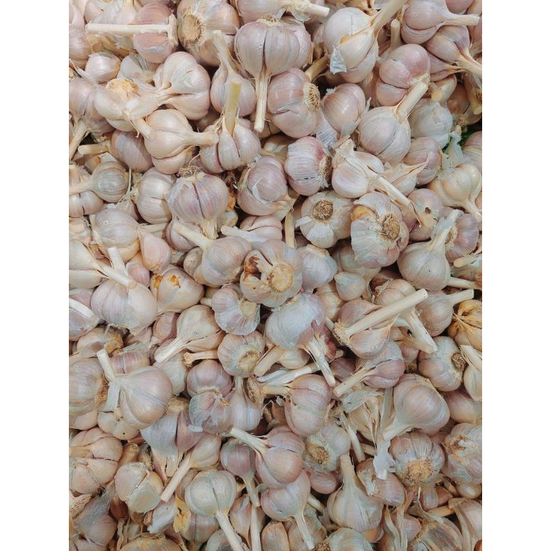 

Bawang Putih Bulat 500gr