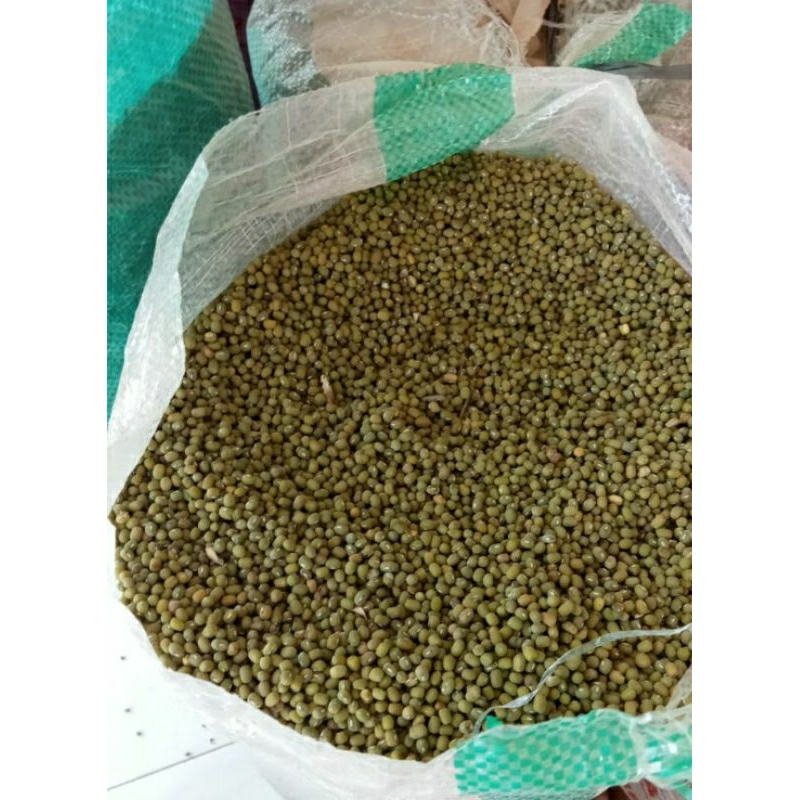 

KacangHijauFresh
