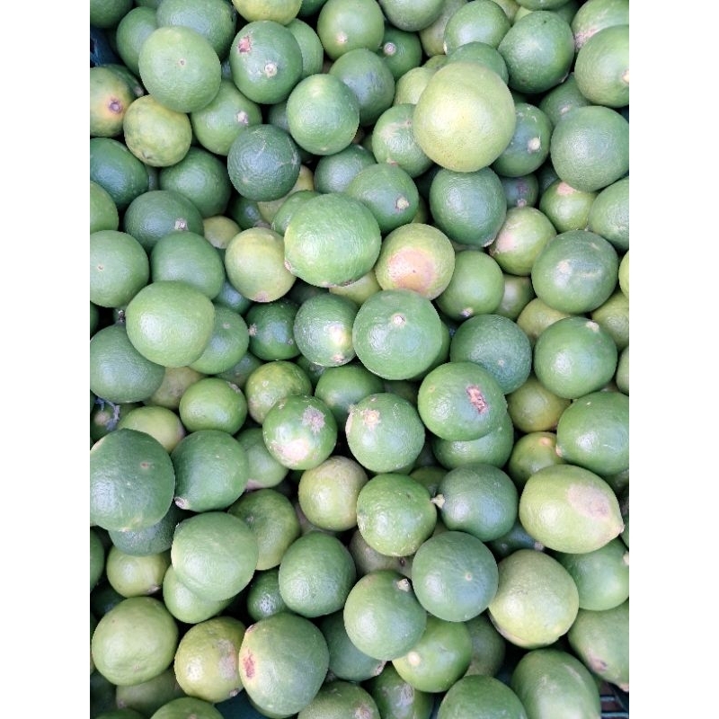 

Jeruk Nipis 500 gram