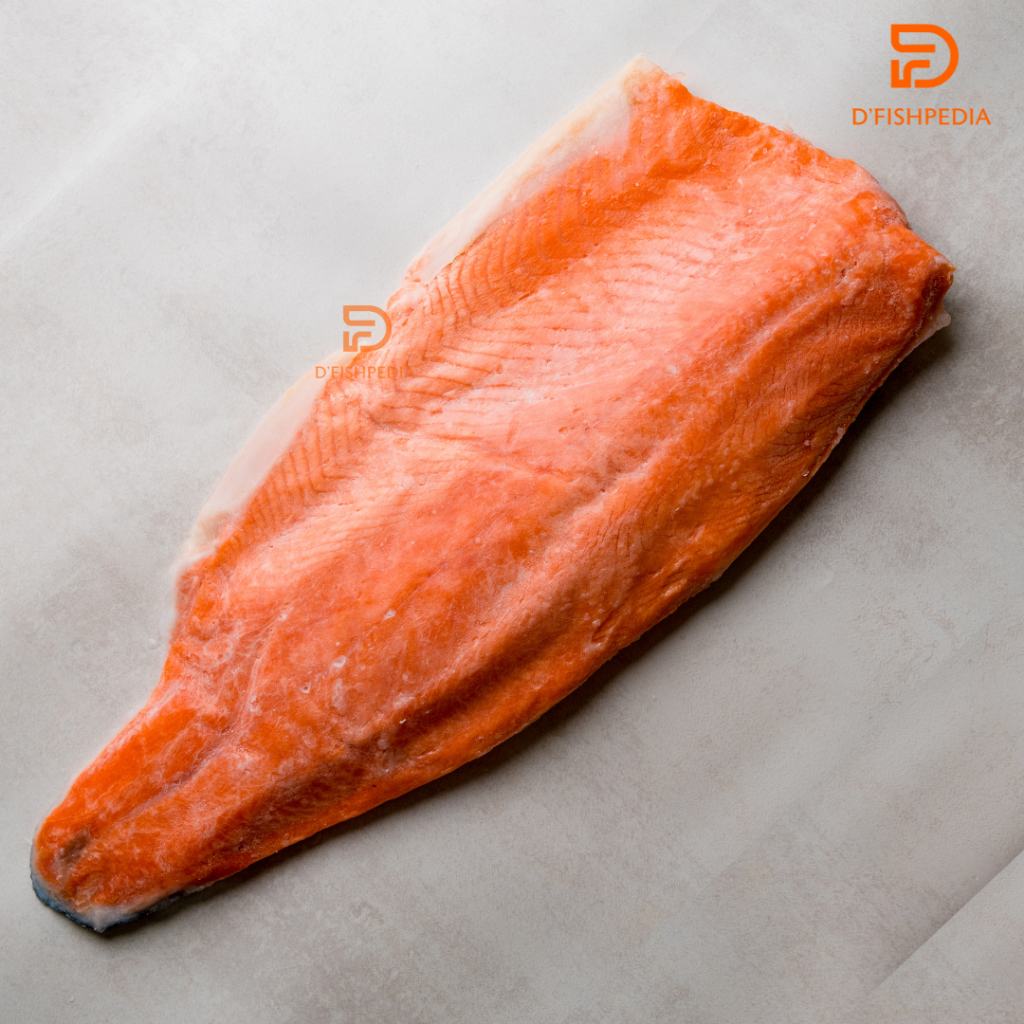 

SALMON FILLET WHOLE / FROZEN FISH / FROZEN SALMON / IKAN SALMON