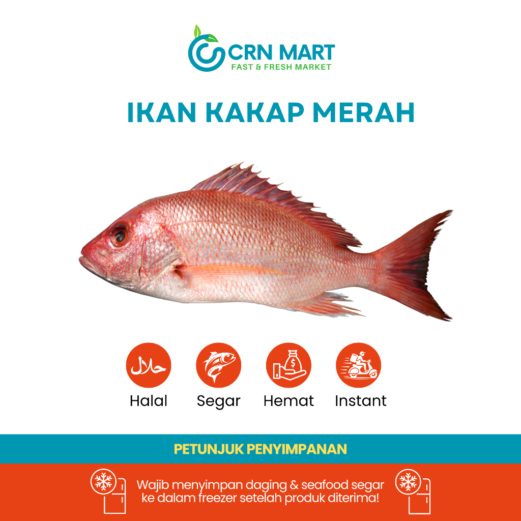 

CRN MART - Ikan Kakap Merah Segar/Seafood Segar/Ikan Kakap Merah Fresh 1 kg