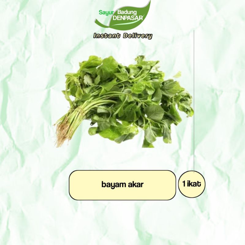 

Sayur Bayam Akar 1 ikat - Sayur instan Badung
