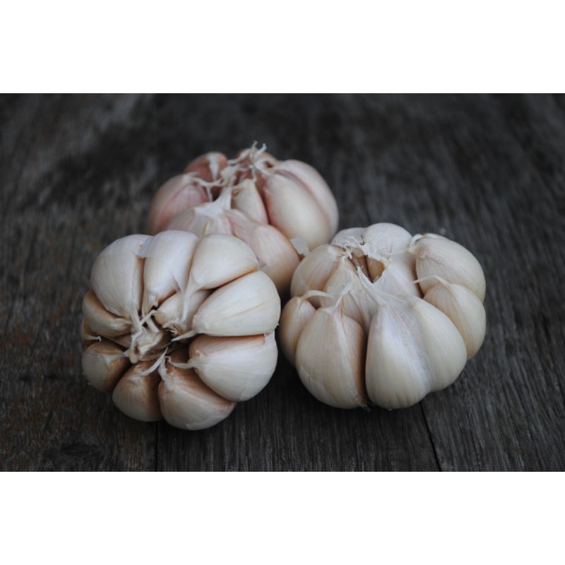 

Bawang Putih 500g Bersih