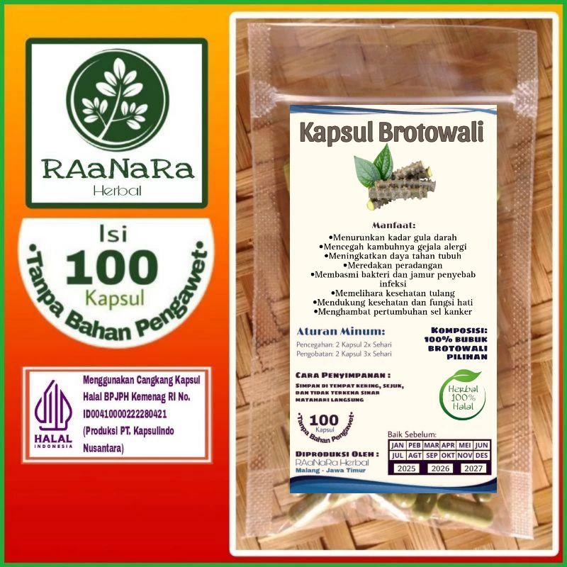 Kapsul Brotowali Isi 100 Kapsul Original Asli Alami