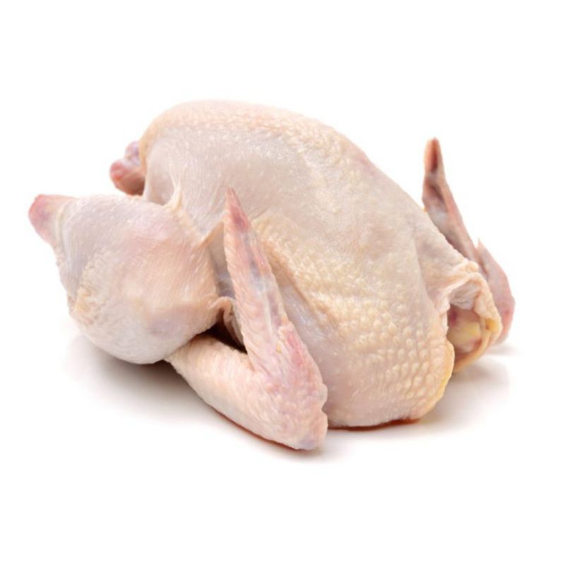 

AYAM POTONG BROILER 1-2KG FRESH POTONG DARI KANDANG