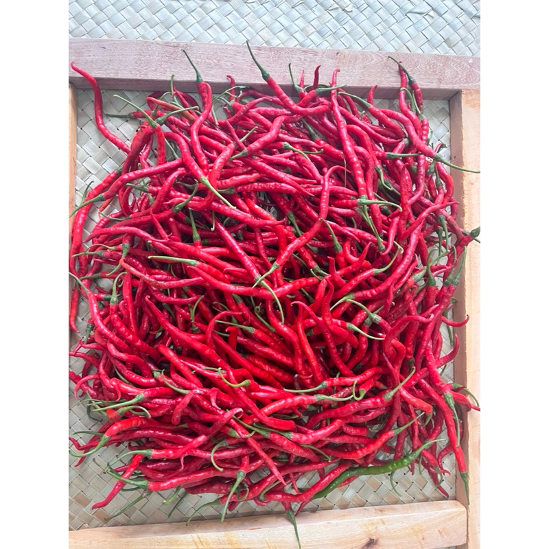 

Cabai Kriting Imperal 500gr Banyuwangi