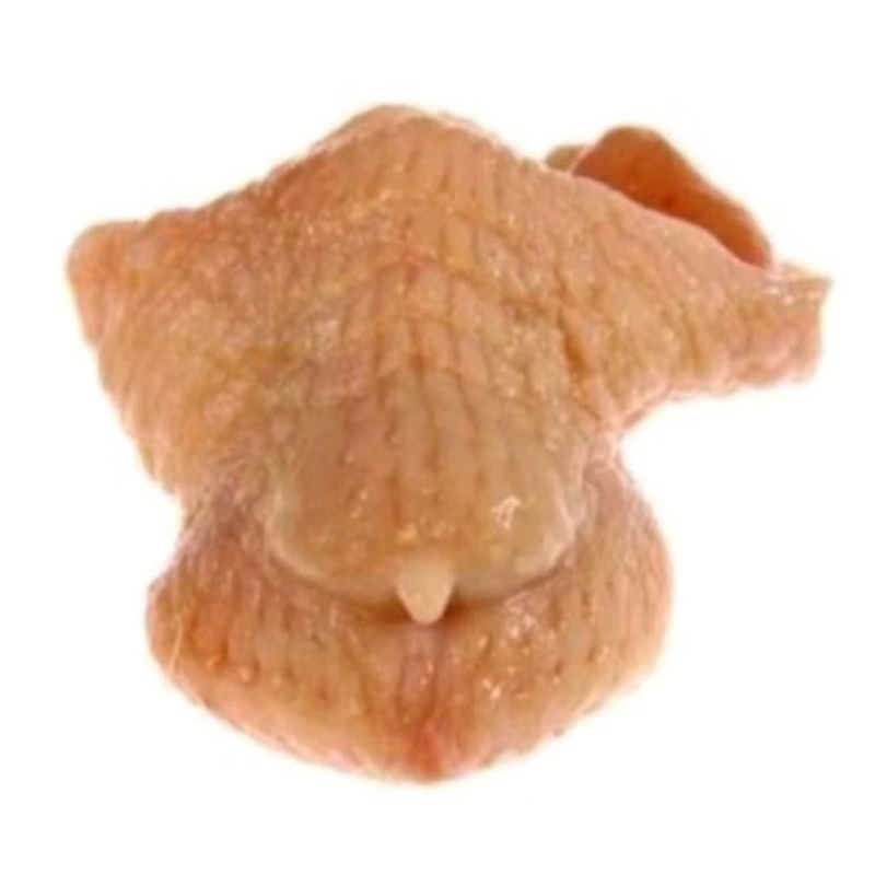 

BRUTU AYAM / TUNGIR Fress 1 Kg