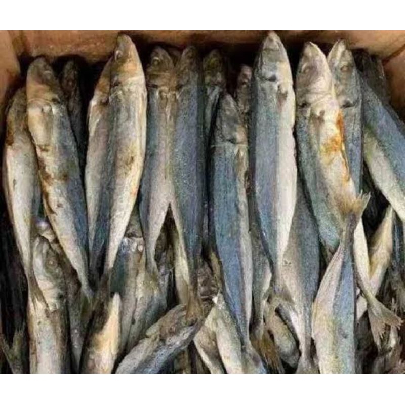 

Ikan asin