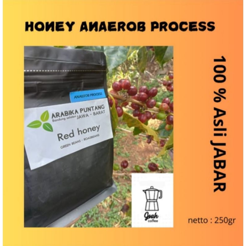 

Kopi Arabica Honey Anaerob single origin Puntang 250gr