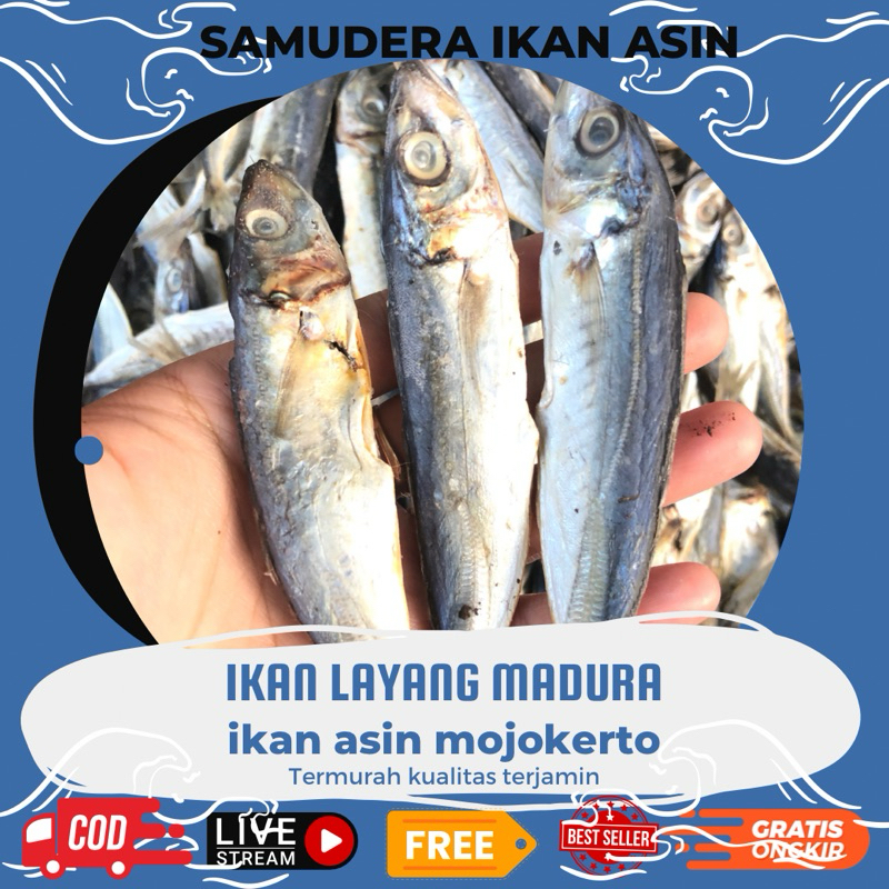 

1kg klotok madura gurih sedikit asin layang madura layang peda layang samudera ikan asin termurah